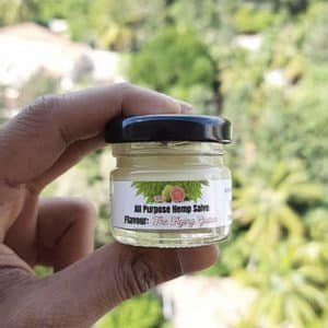 BE Hemp All-Purpose Healing Salve – The Flying Guava