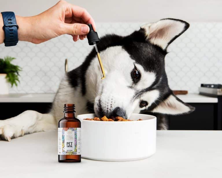 PolyHerbs CBD Oil for Pets 3000mg